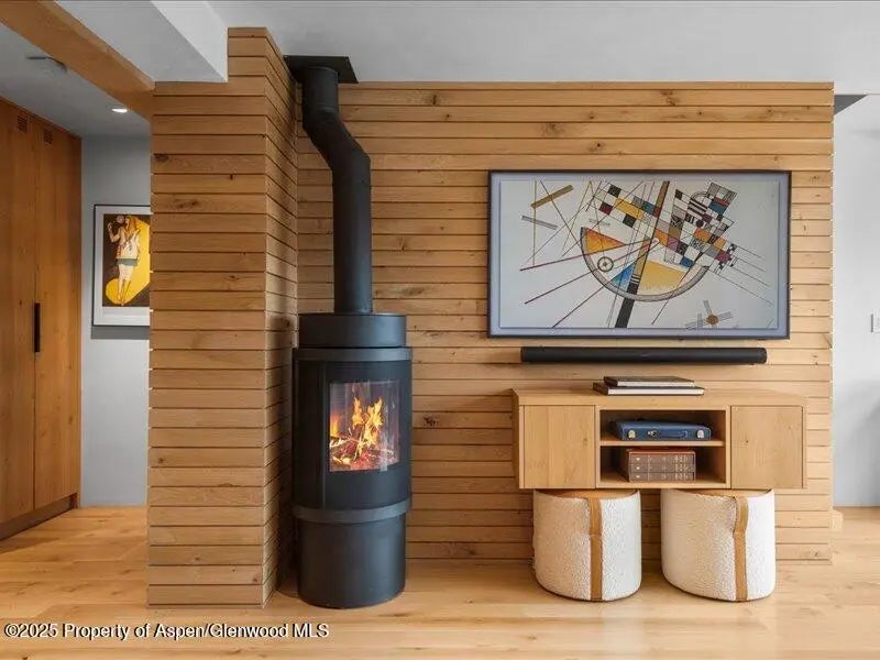 3 of 27 - 100 N 8th Street #15, Aspen, CO