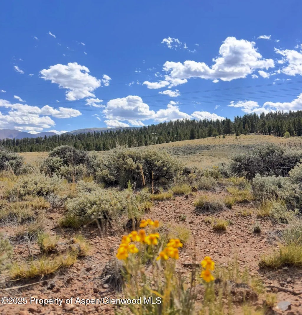 1 of 2 - 82 Edward E Hill Drive, Twin Lakes, CO