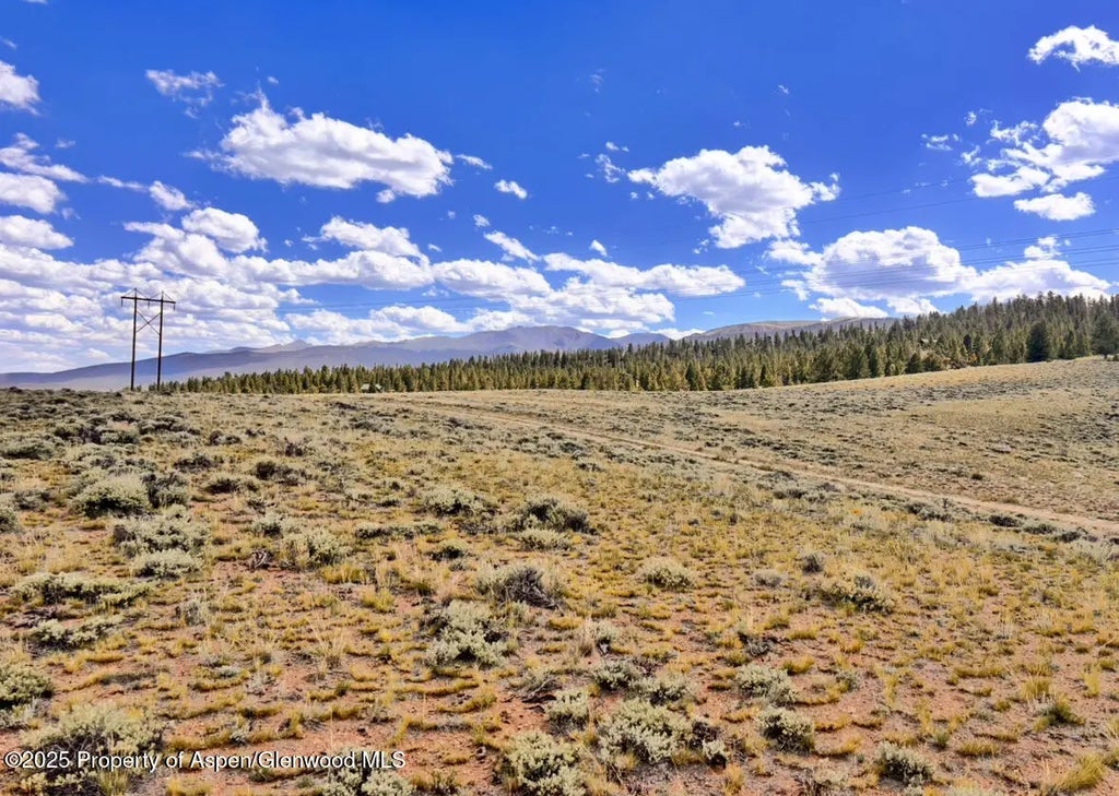 2 of 2 - 82 Edward E Hill Drive, Twin Lakes, CO