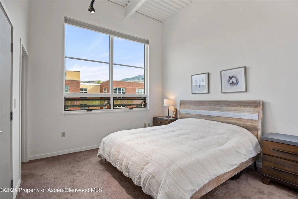 14 of 23 - 361 Robinson Street 308, Basalt, CO