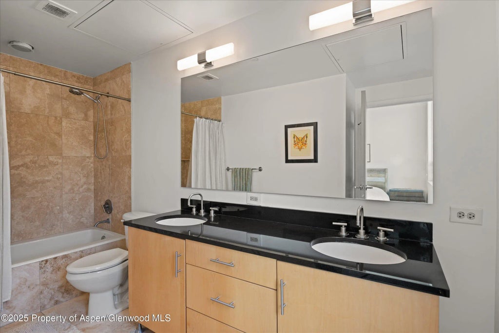 15 of 23 - 361 Robinson Street 308, Basalt, CO