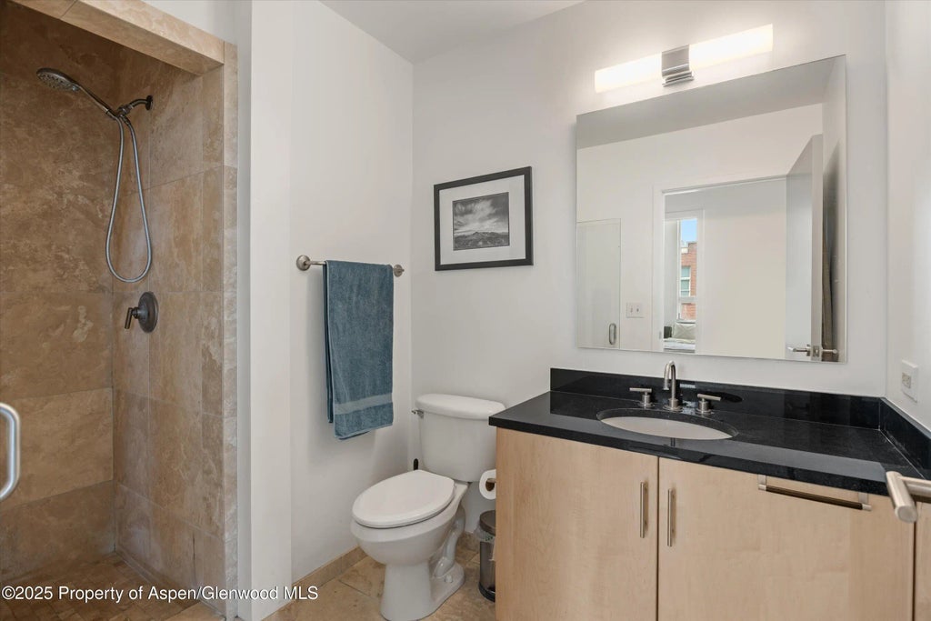 17 of 23 - 361 Robinson Street 308, Basalt, CO