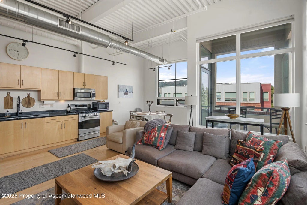 9 of 23 - 361 Robinson Street 308, Basalt, CO