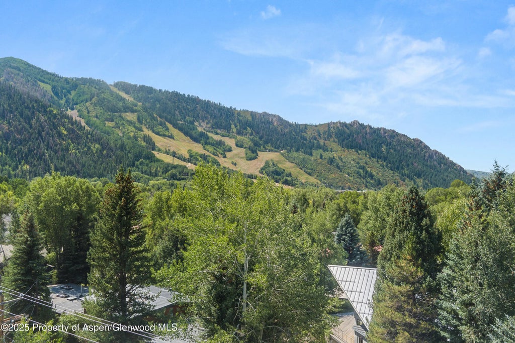 37 of 51 - 201 Midland Avenue, Aspen, CO