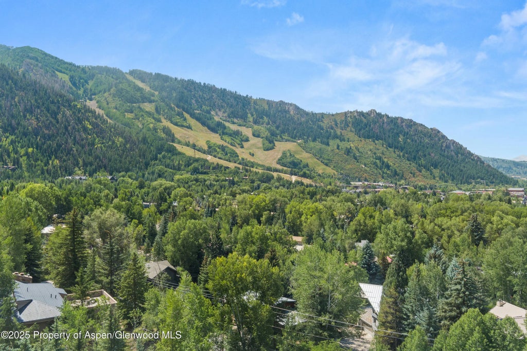 39 of 51 - 201 Midland Avenue, Aspen, CO