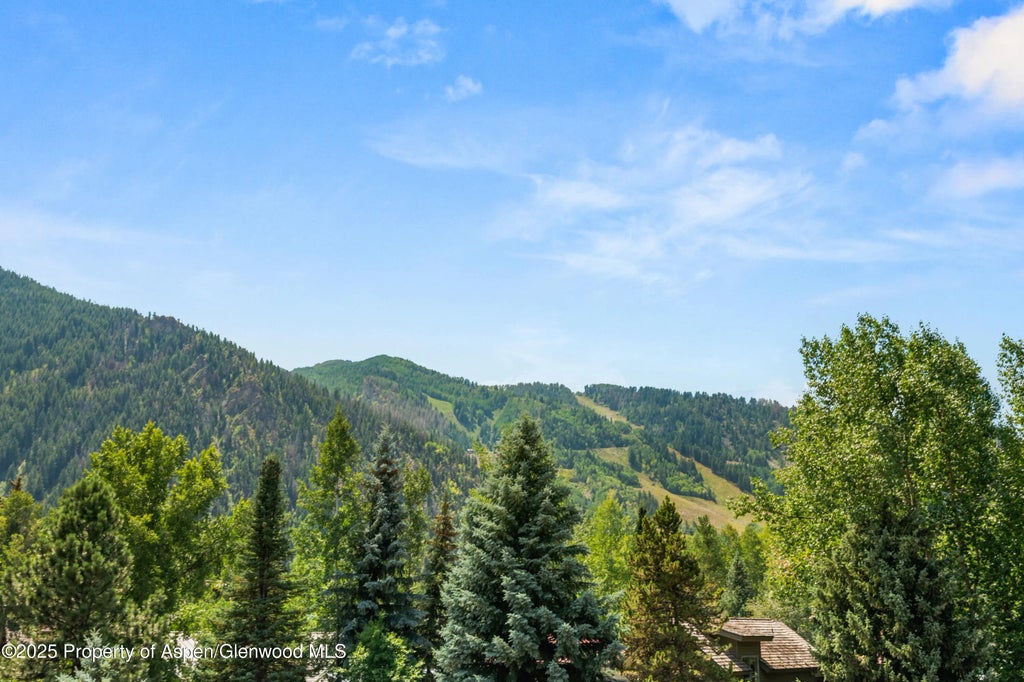 51 of 51 - 201 Midland Avenue, Aspen, CO