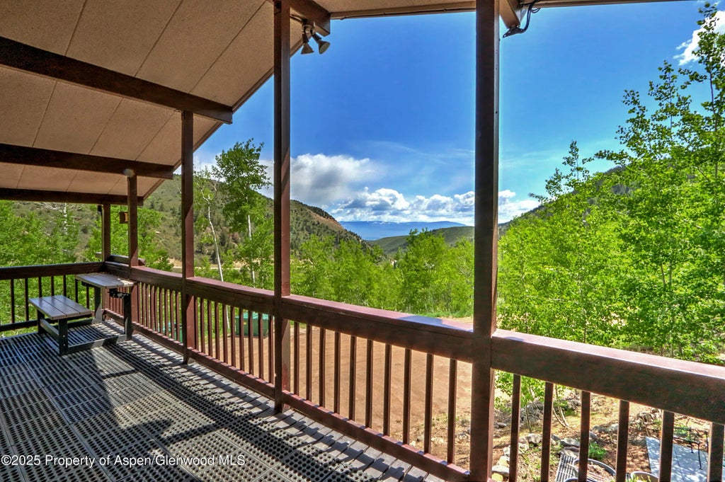 17 of 19 - 11101 County Road 117 B6, Glenwood Springs, CO