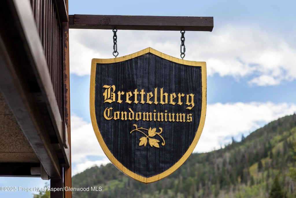 18 of 19 - 11101 County Road 117 B6, Glenwood Springs, CO