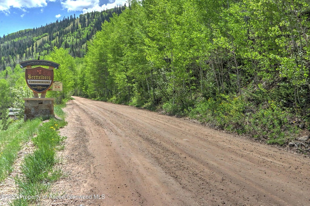 19 of 19 - 11101 County Road 117 B6, Glenwood Springs, CO