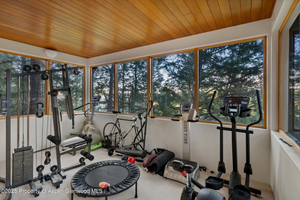 51 of 56 - 505 Wildcat Vista, Snowmass Village, CO