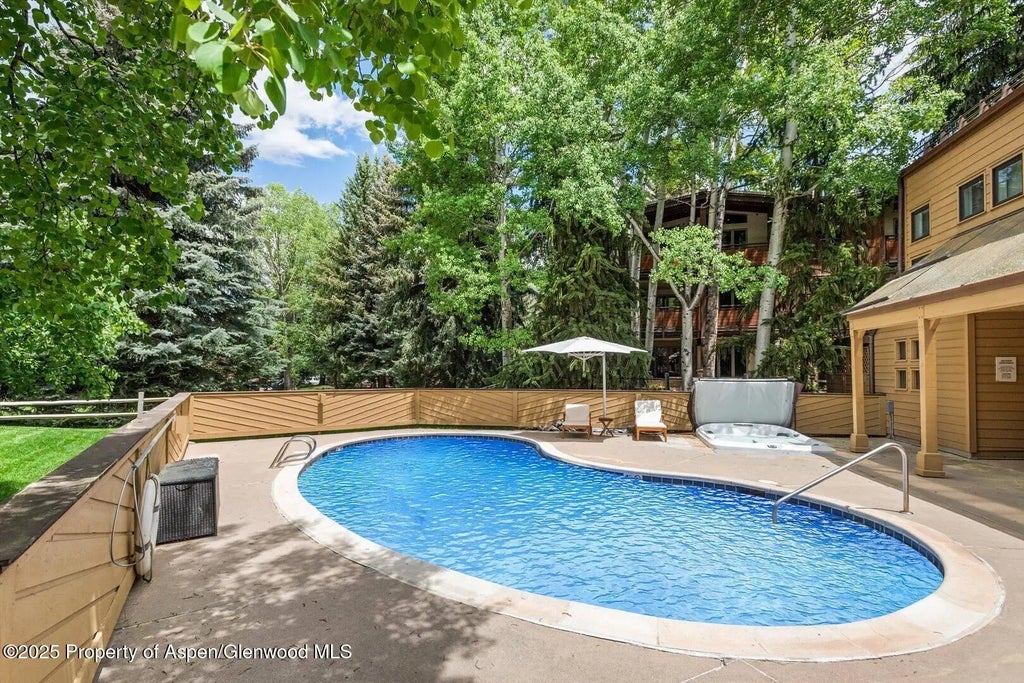 19 of 21 - 625 S West End Street 8, Aspen, CO