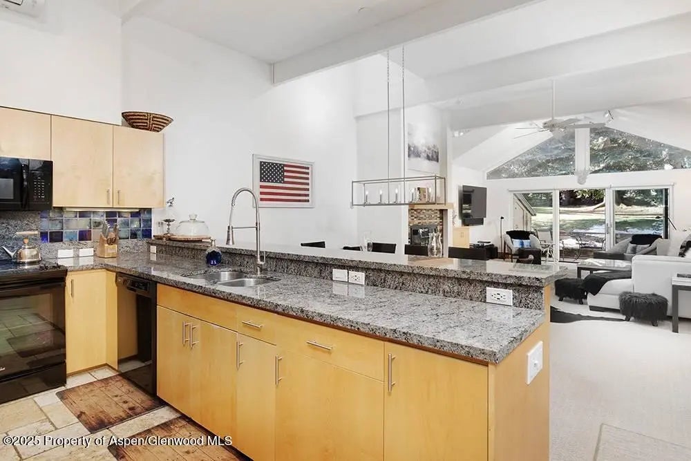 5 of 21 - 625 S West End Street 8, Aspen, CO