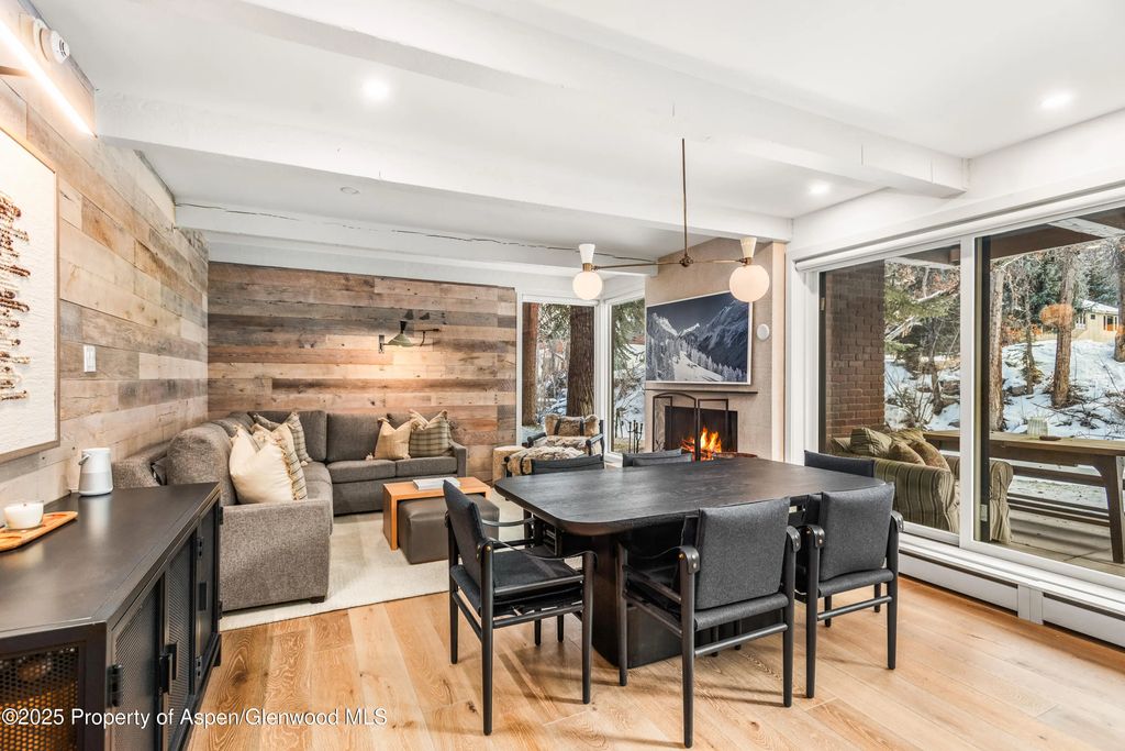 1034 E Cooper Avenue #20, Aspen