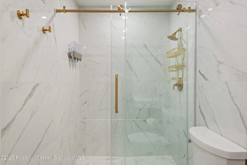 12 of 24 - 205 E Durant Avenue Unit 1g, Aspen, CO