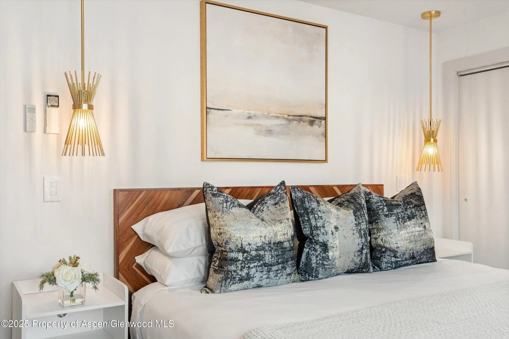 14 of 24 - 205 E Durant Avenue Unit 1g, Aspen, CO