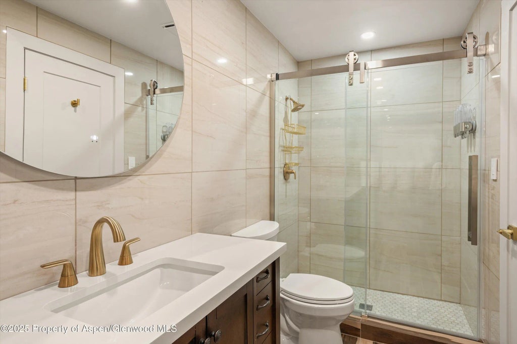 17 of 24 - 205 E Durant Avenue Unit 1g, Aspen, CO