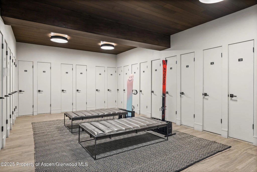 20 of 24 - 205 E Durant Avenue Unit 1g, Aspen, CO
