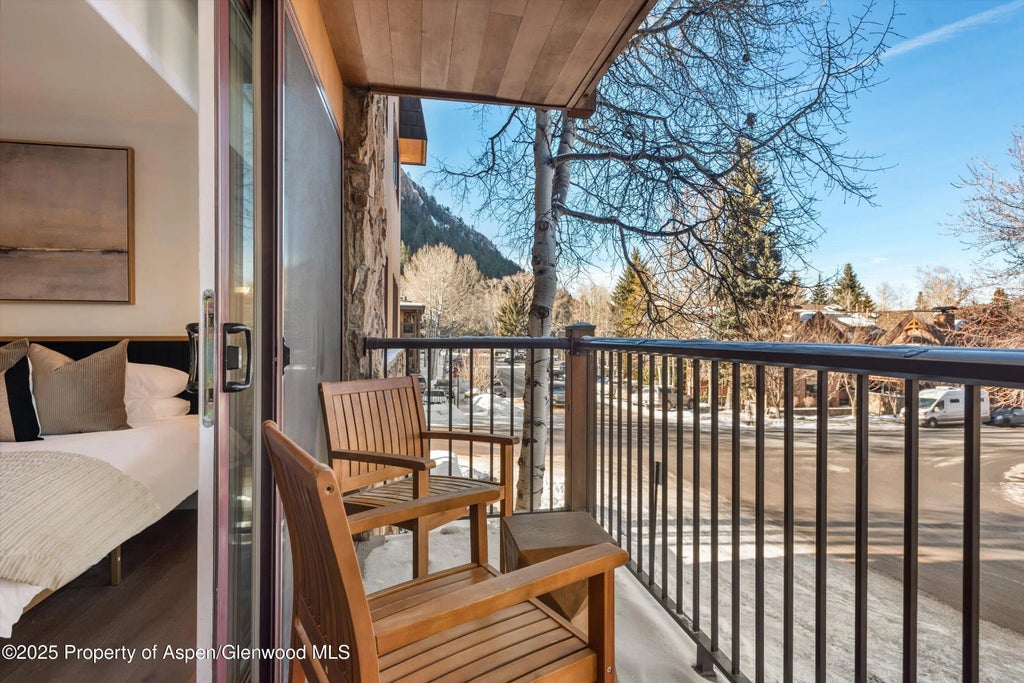 22 of 24 - 205 E Durant Avenue Unit 1g, Aspen, CO