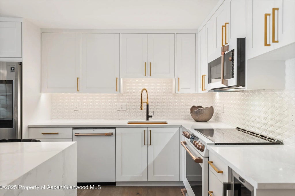 6 of 24 - 205 E Durant Avenue Unit 1g, Aspen, CO