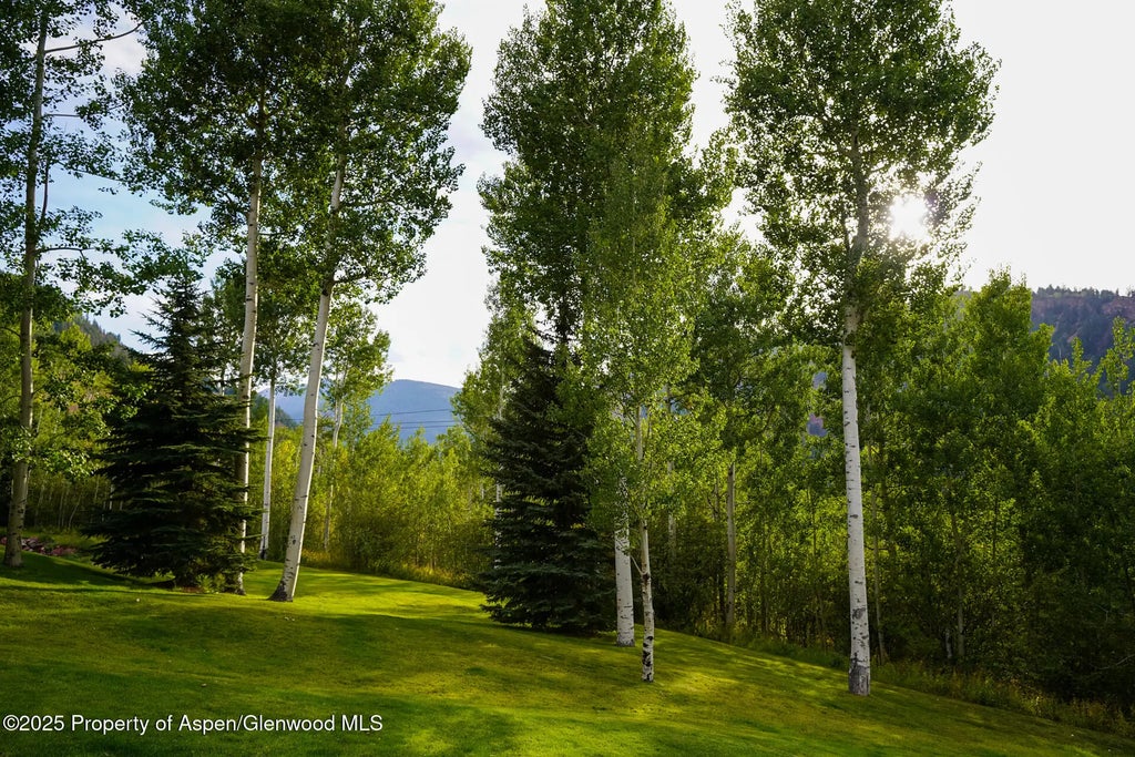 27 of 28 - 531 Moore Drive, Aspen, CO