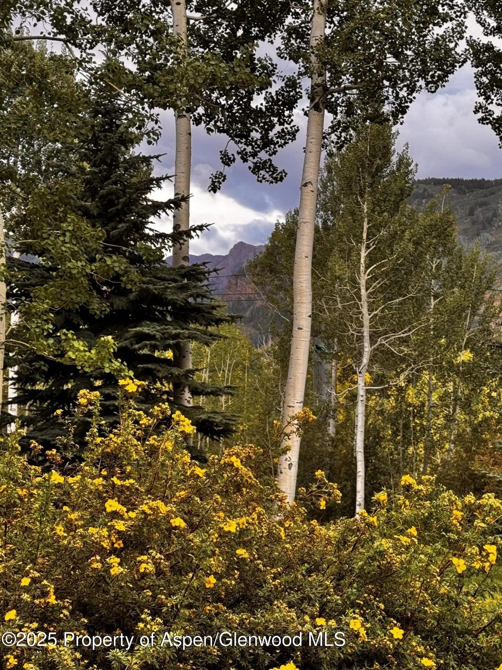 28 of 28 - 531 Moore Drive, Aspen, CO