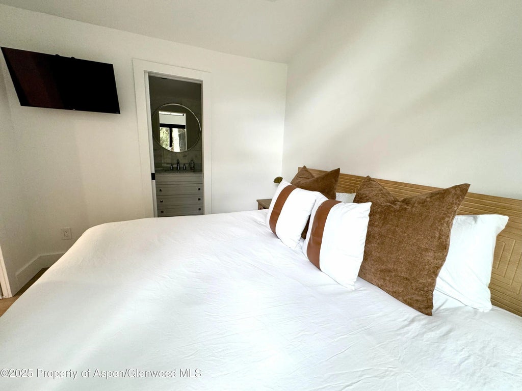 11 of 17 - 548.5 Spruce Street, Aspen, CO