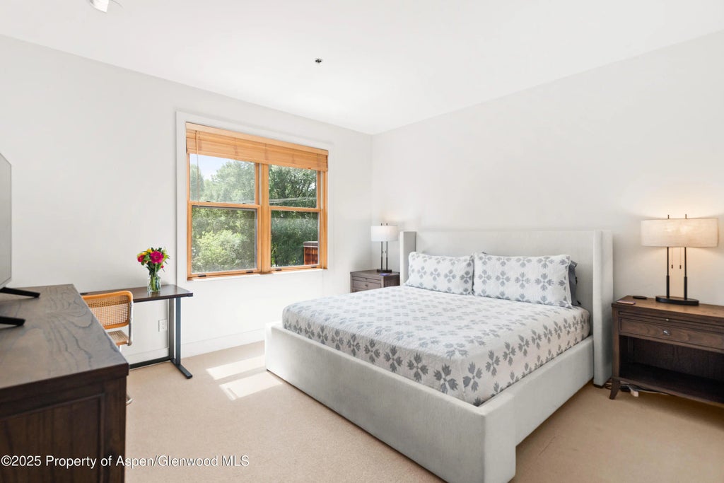 4 of 12 - 227 Midland Avenue #24, Basalt, CO