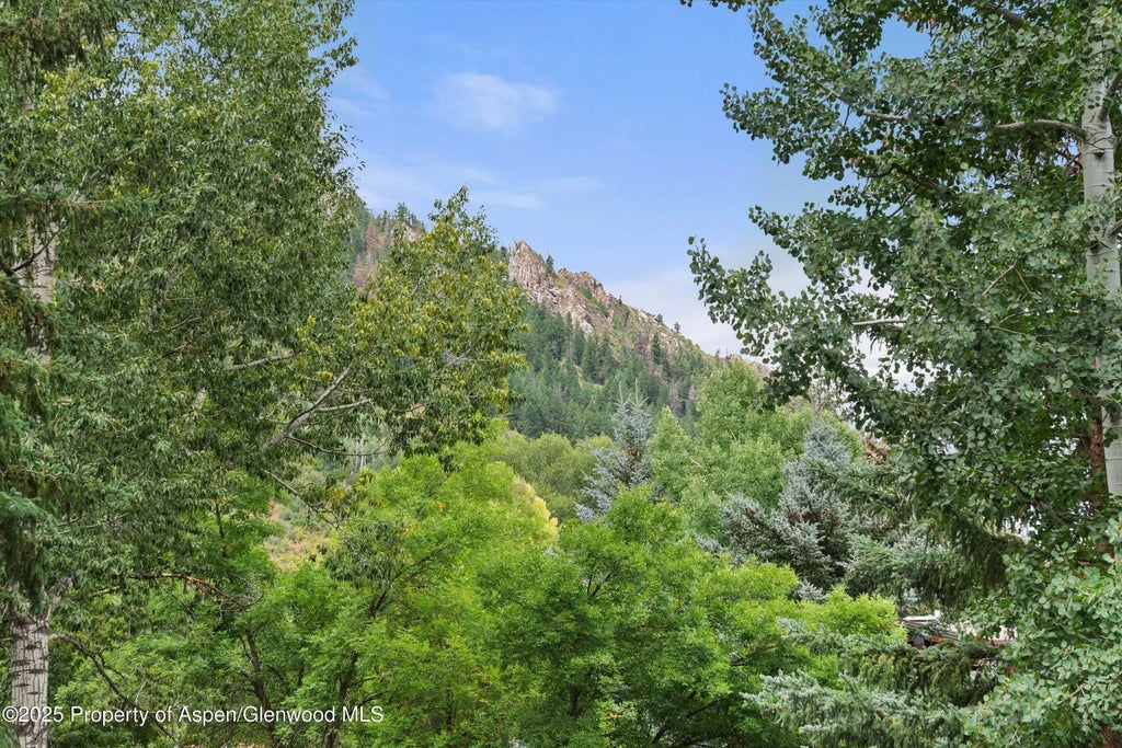 2 of 19 - 738 S Galena Street 1-c, Aspen, CO