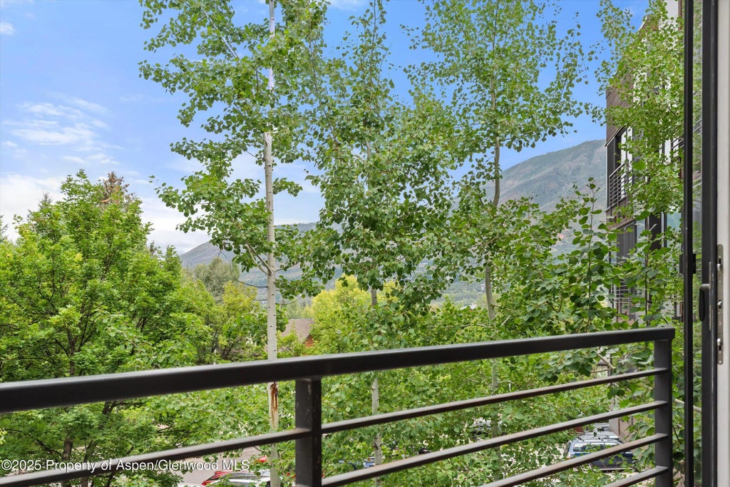 3 of 19 - 738 S Galena Street 1-c, Aspen, CO