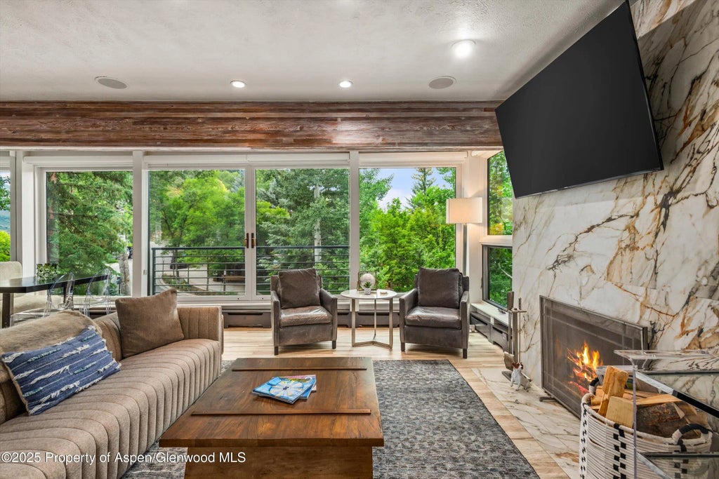 6 of 19 - 738 S Galena Street 1-c, Aspen, CO