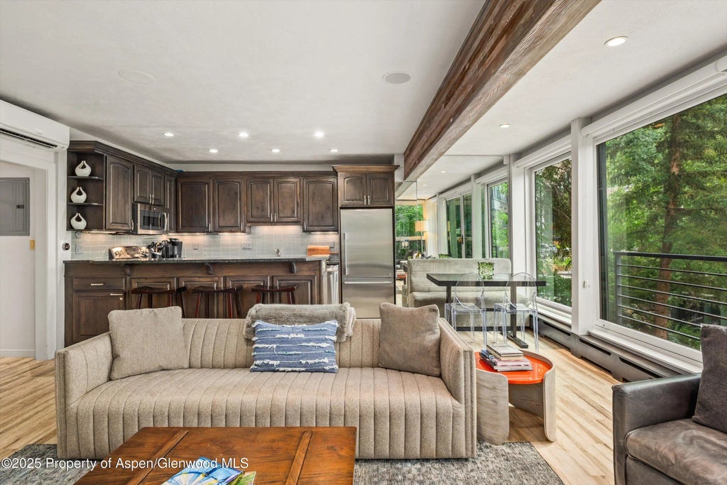 8 of 19 - 738 S Galena Street 1-c, Aspen, CO