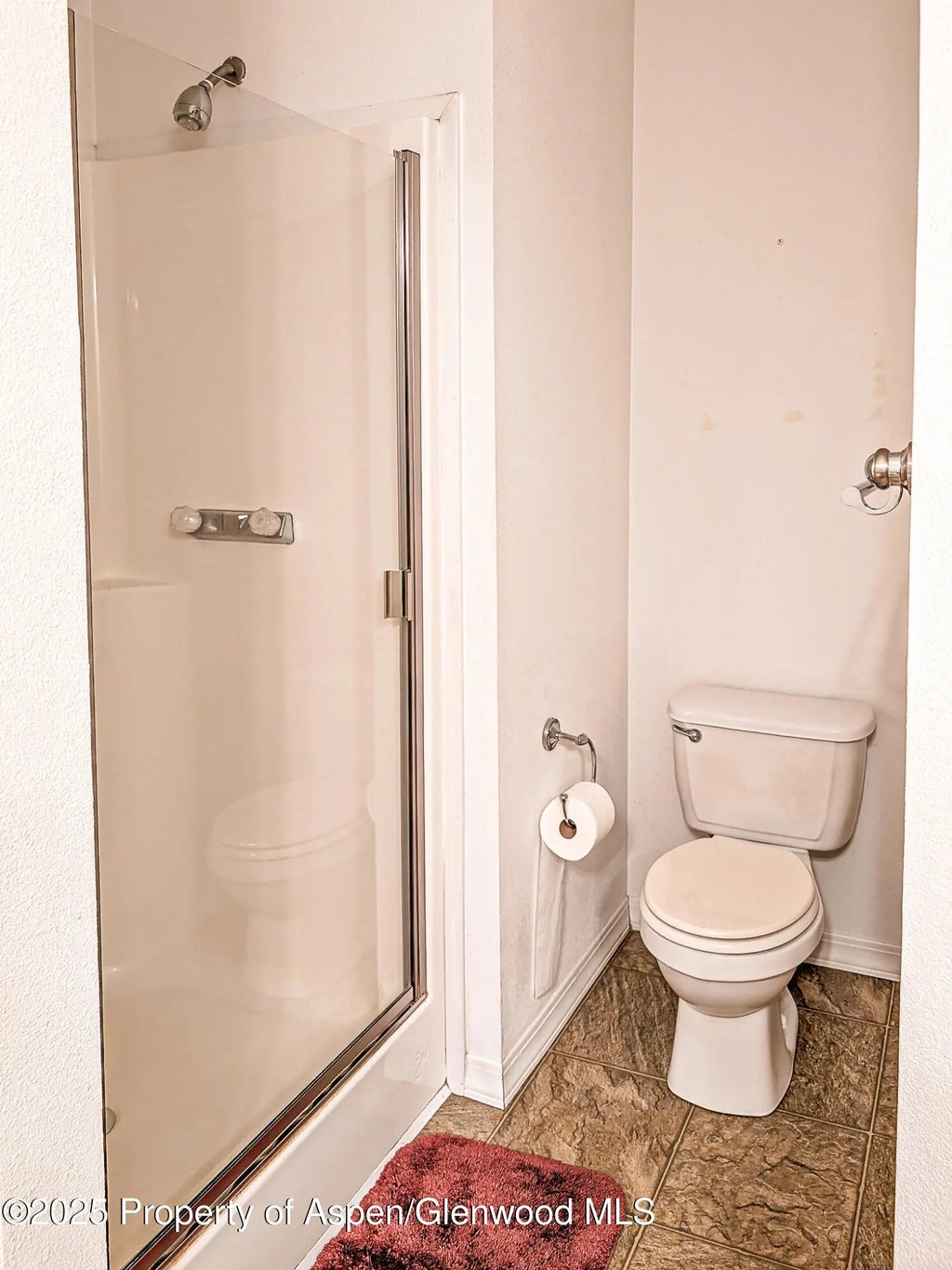 15 of 24 - 1031 Sprucewood Lane, Glenwood Springs, CO