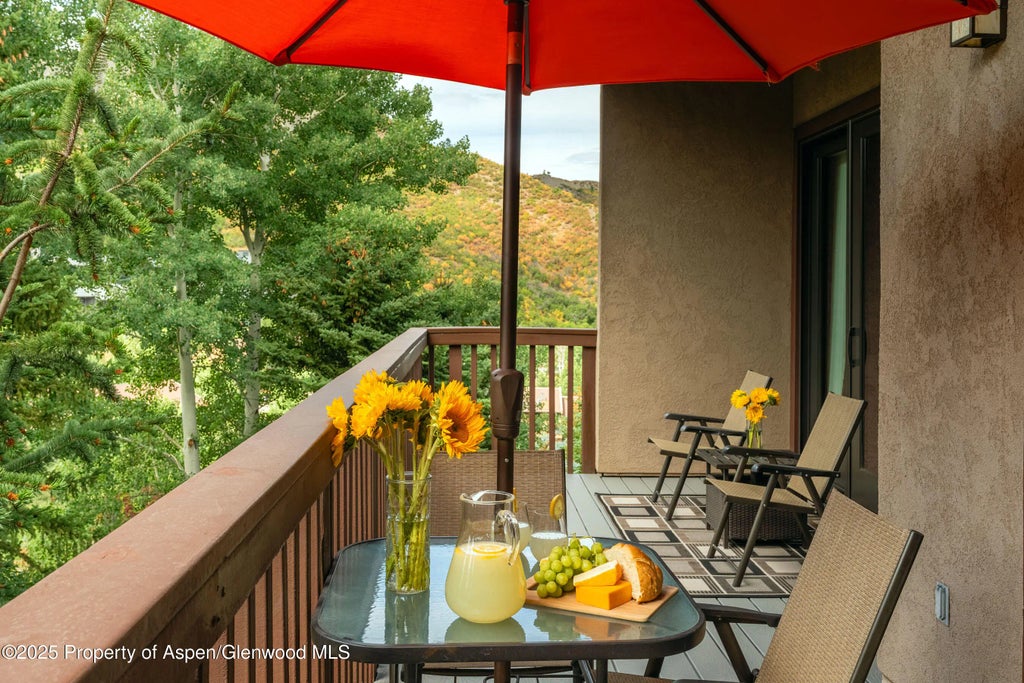 17 of 25 - 229 Faraway Road #28, Snowmass Village, CO