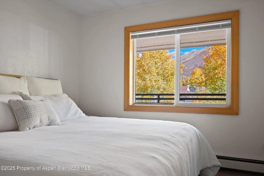 6 of 15 - 326 Midland Avenue 306, Aspen, CO