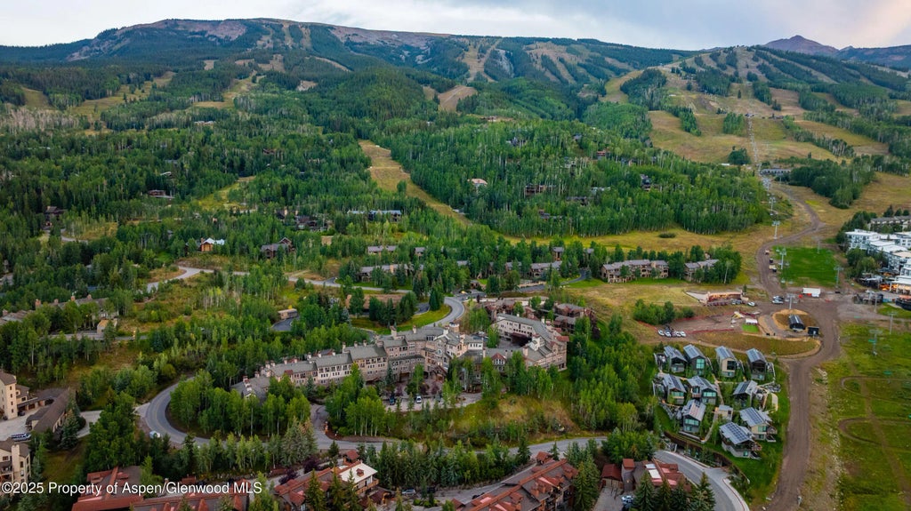 41 of 45 - 425 Wood Road 13, Snowmass Village, CO