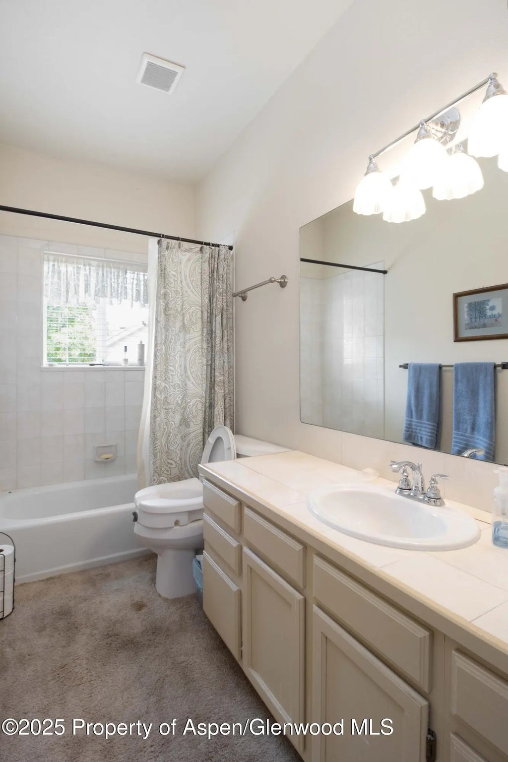 14 of 27 - 126 Willow Creek Trail, Battlement Mesa, CO