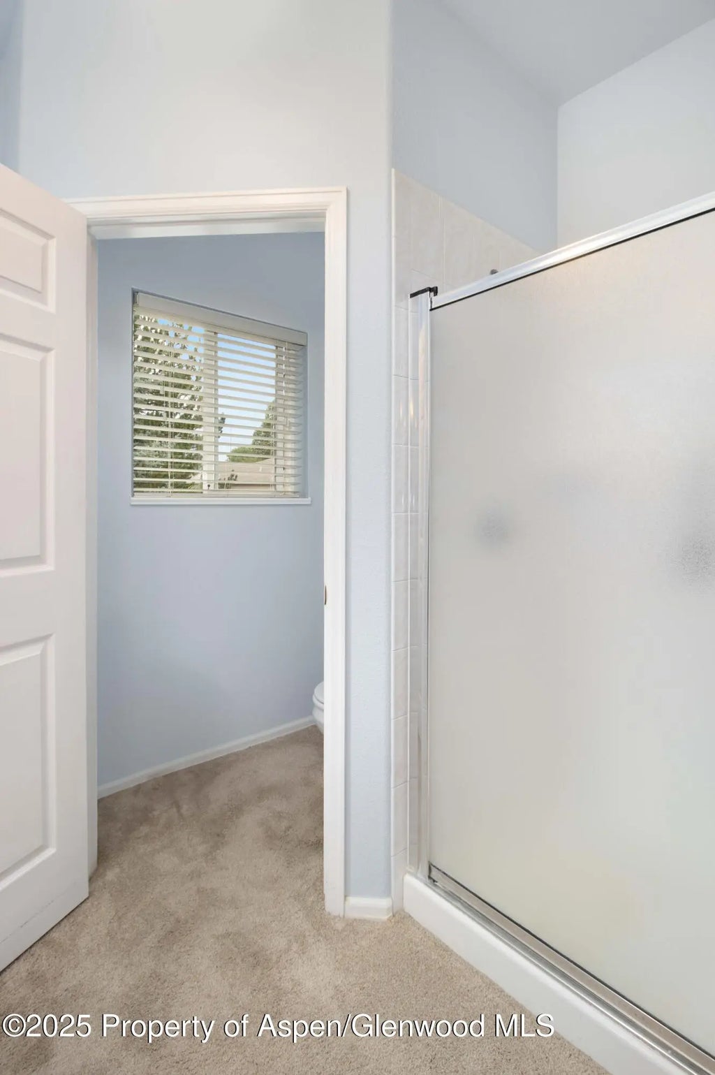 18 of 27 - 126 Willow Creek Trail, Battlement Mesa, CO