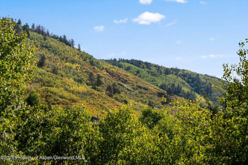 33 of 37 - 42 Northway Drive, Aspen, CO