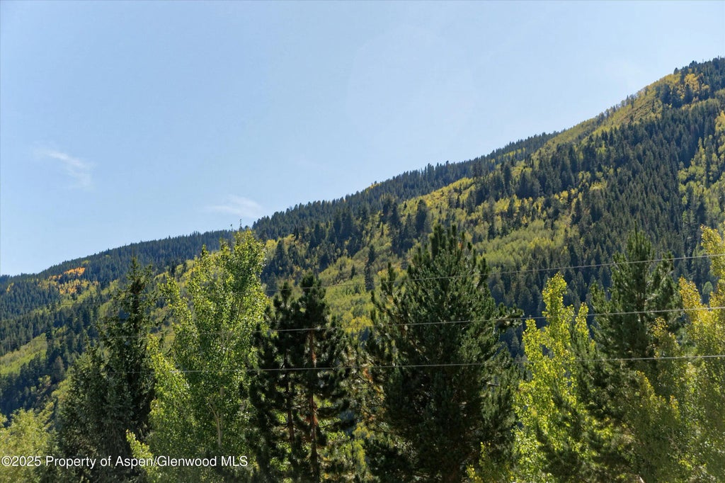 6 of 33 - 39 Roaring Fork Drive, Aspen, CO