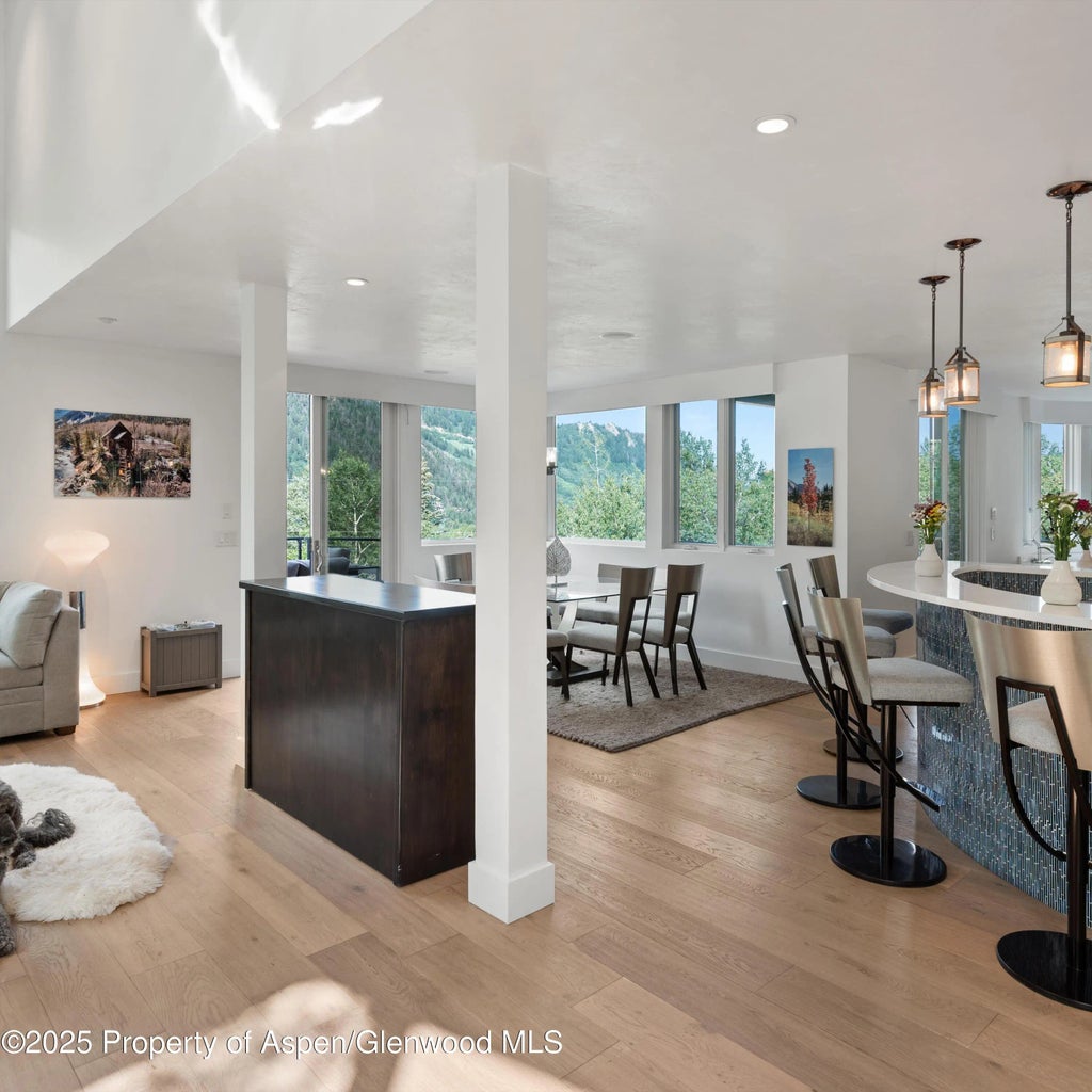 17 of 58 - 257 Mountain Laurel Drive, Aspen, CO