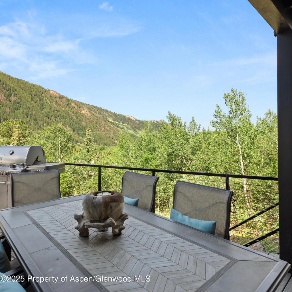 28 of 58 - 257 Mountain Laurel Drive, Aspen, CO