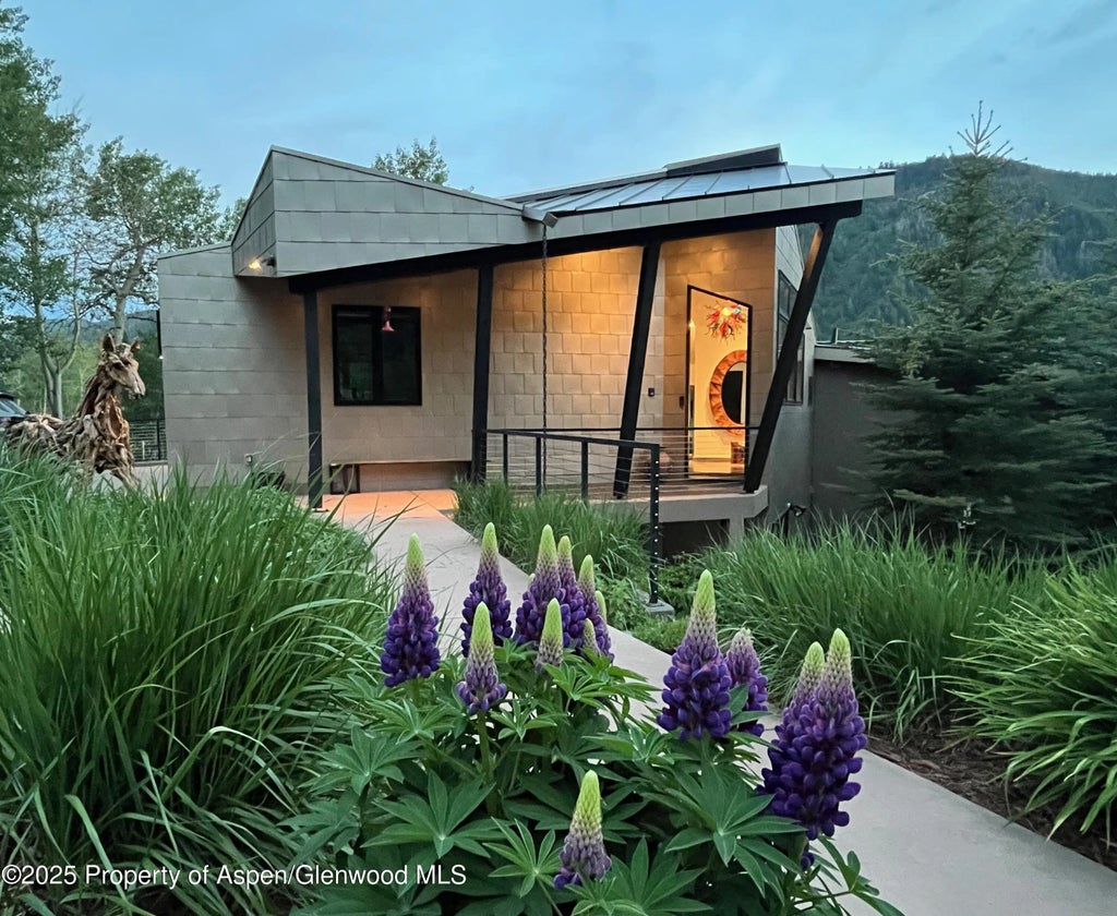 3 of 58 - 257 Mountain Laurel Drive, Aspen, CO