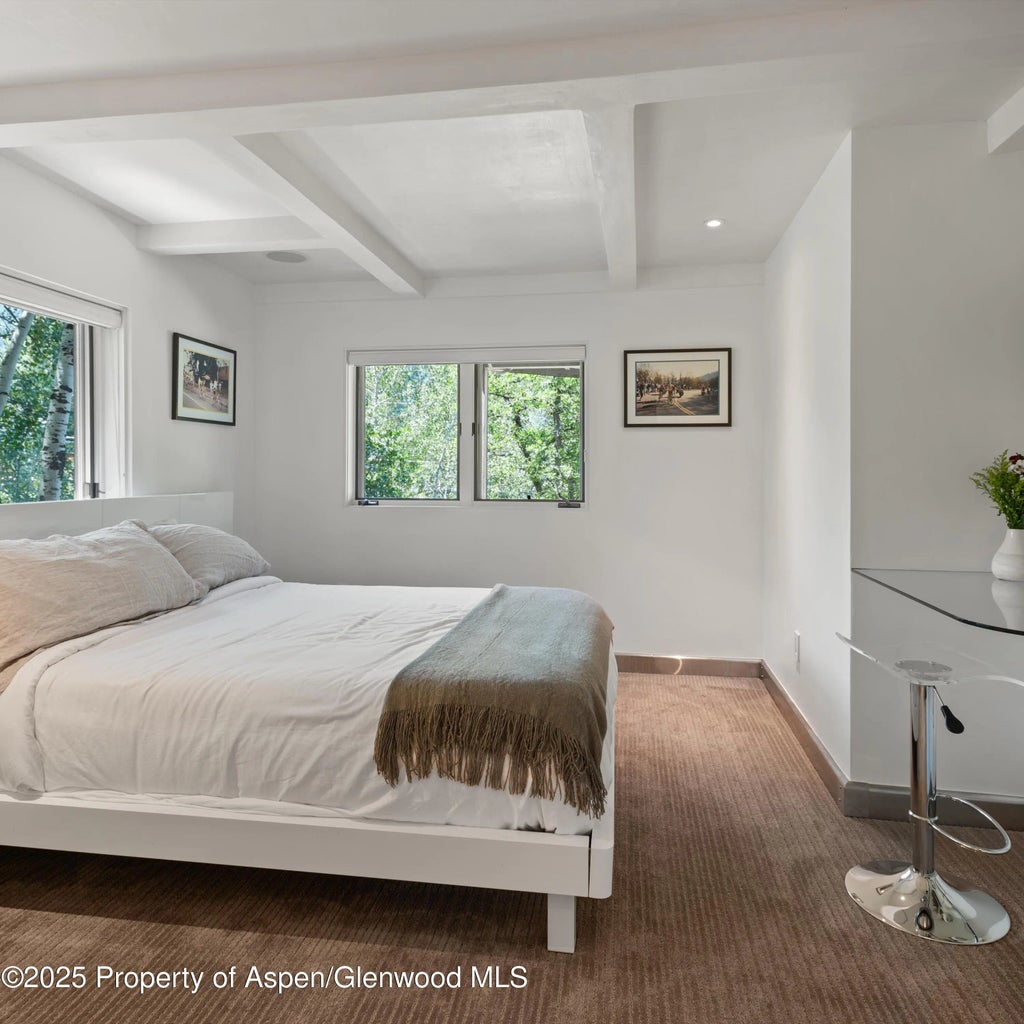 48 of 58 - 257 Mountain Laurel Drive, Aspen, CO