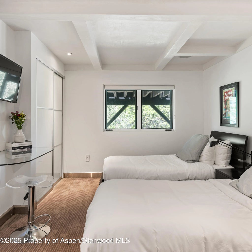 51 of 58 - 257 Mountain Laurel Drive, Aspen, CO