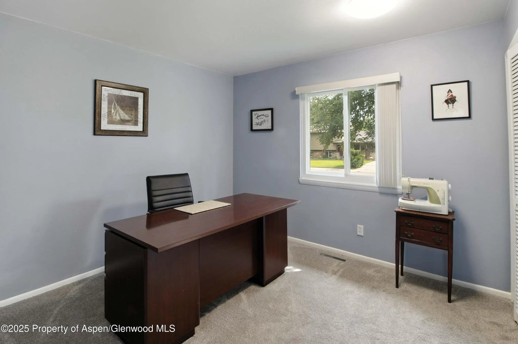 19 of 32 - 491 Morrison Street, Carbondale, CO