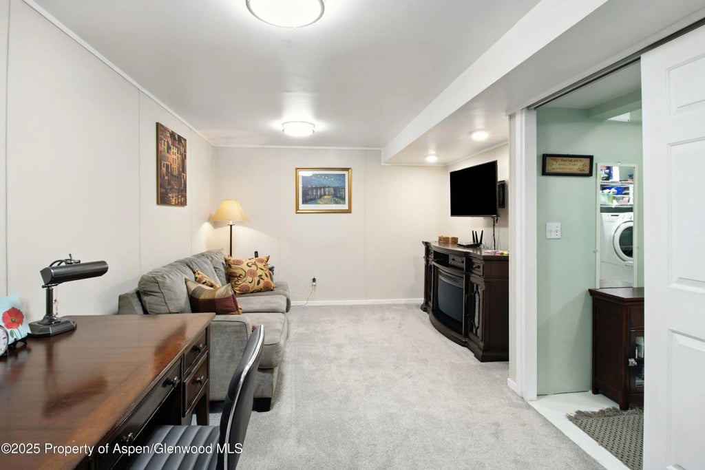 20 of 32 - 491 Morrison Street, Carbondale, CO