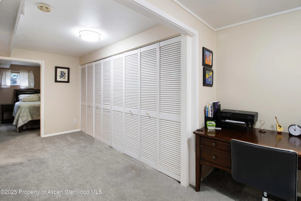 21 of 32 - 491 Morrison Street, Carbondale, CO