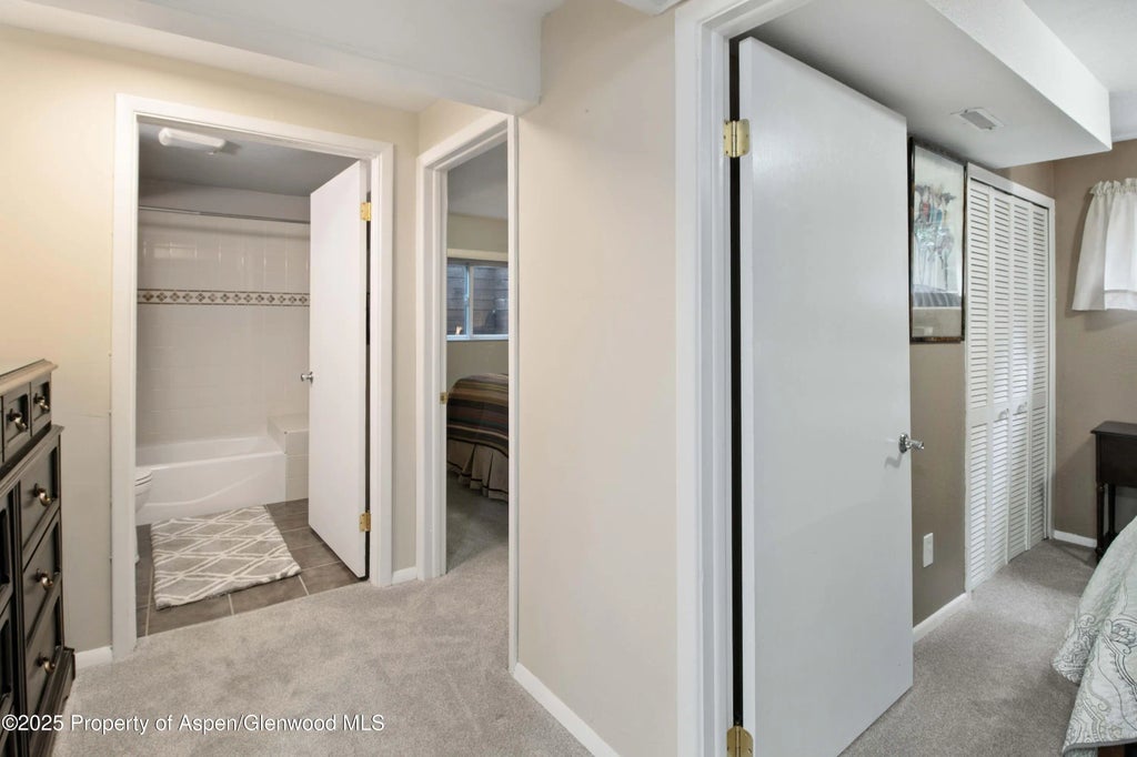 22 of 32 - 491 Morrison Street, Carbondale, CO