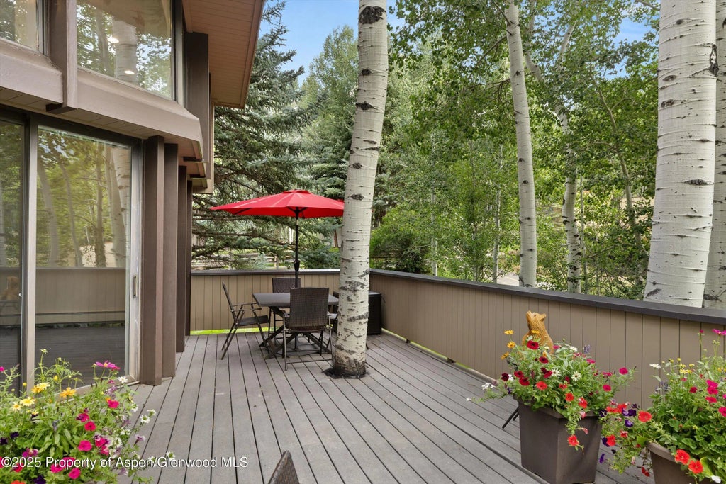 28 of 34 - 1443 Crystal Lake Road 3e, Aspen, CO