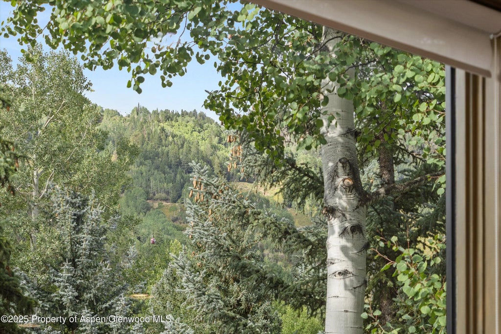 15 of 16 - 926 Waters Avenue 301, Aspen, CO